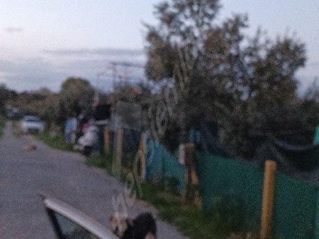 kiralık hobi bahceleri elektrik su yol sekizbin aylık 250m2 - Görsel 14