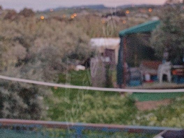 kiralık hobi bahceleri elektrik su yol sekizbin aylık 250m2 - Görsel 18
