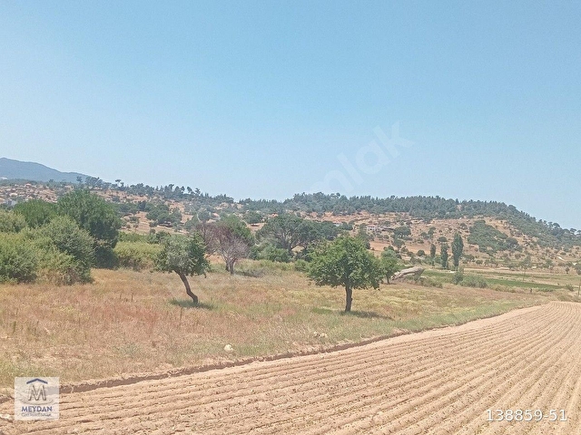 MUĞLA MİLAS TÜRBE AKKOVANLIKDA 4892 M2 MUHTEŞEM TARLA!!! - Görsel 2