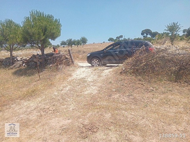 MUĞLA MİLAS TÜRBE AKKOVANLIKDA 4892 M2 MUHTEŞEM TARLA!!! - Görsel 3