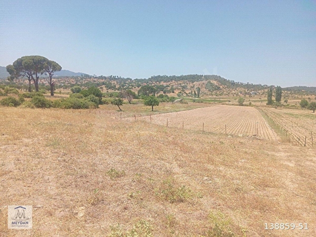MUĞLA MİLAS TÜRBE AKKOVANLIKDA 4892 M2 MUHTEŞEM TARLA!!! - Görsel 7
