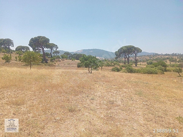 MUĞLA MİLAS TÜRBE AKKOVANLIKDA 4892 M2 MUHTEŞEM TARLA!!! - Görsel 8