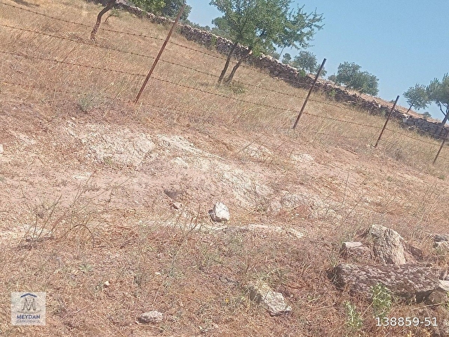 MUĞLA MİLAS TÜRBE AKKOVANLIKDA 4892 M2 MUHTEŞEM TARLA!!! - Görsel 10