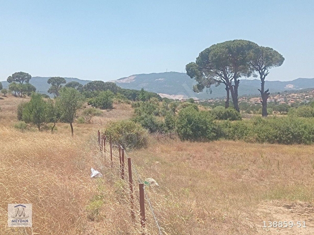 MUĞLA MİLAS TÜRBE AKKOVANLIKDA 4892 M2 MUHTEŞEM TARLA!!! - Görsel 13