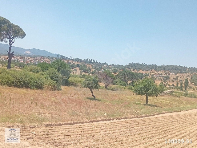 MUĞLA MİLAS TÜRBE AKKOVANLIKDA 4892 M2 MUHTEŞEM TARLA!!! - Görsel 15