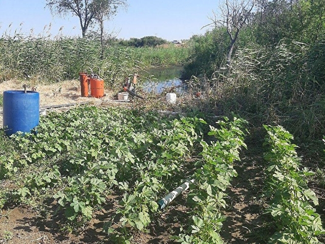 BABAESKİ BÜYÜKMANDIRA  KASABASINDA KARE MUHTEŞEM TARLA    10.000 M2 - Görsel 20