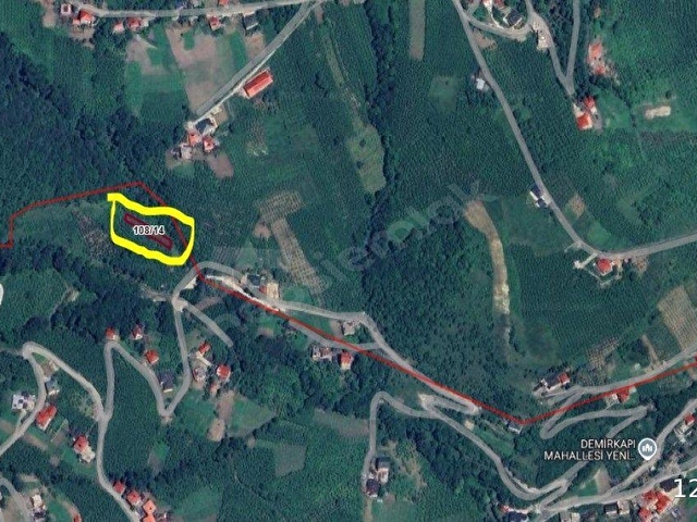 Trabzon Akçaabat Demirkapıda Satılık 492 m² Fındık Bahçesi - Görsel 6