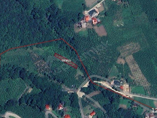 Trabzon Akçaabat Demirkapıda Satılık 492 m² Fındık Bahçesi - Görsel 4