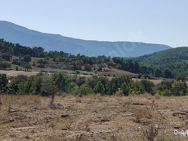 Bayramiç karaköyde köyün içine 300 metre mesafede - Görsel 2