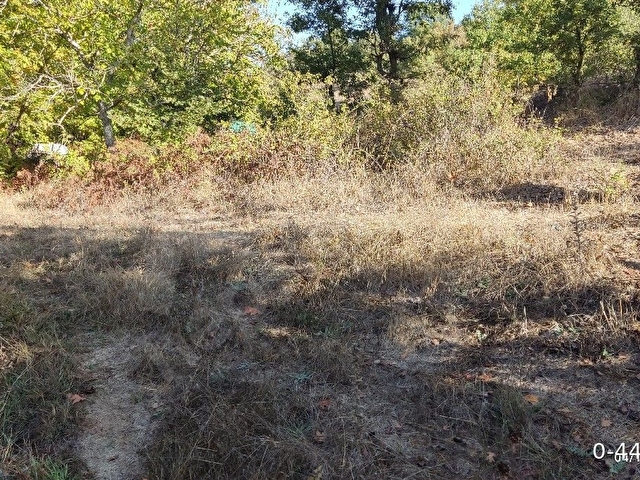 Bayramiç karaköyde köyün içine 300 metre mesafede - Görsel 10