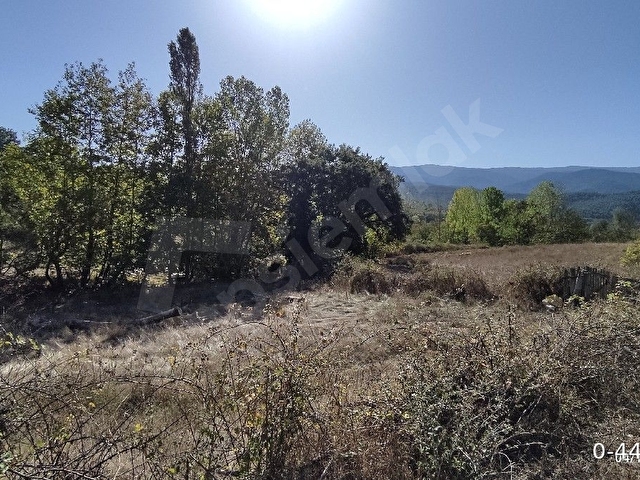 Bayramiç karaköyde köyün içine 300 metre mesafede - Görsel 11