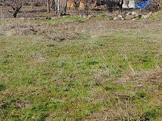 FIRSATI KAÇIRMADINIZ  SATIŞTA YEDİAĞAÇ SEYİRDE İMARLI ALT YAPLI 900 M2 BAĞ - Görsel 6