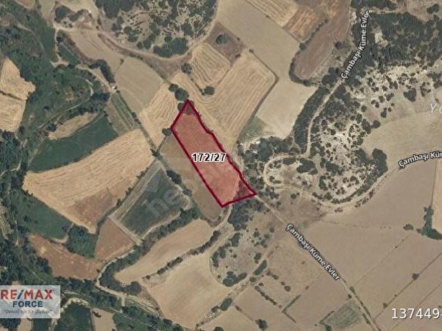 BOZKURT ÇAMBAŞI KÖYÜNDE, KÖYE YAKIN 5184 METREKARE SATILIK TARLA