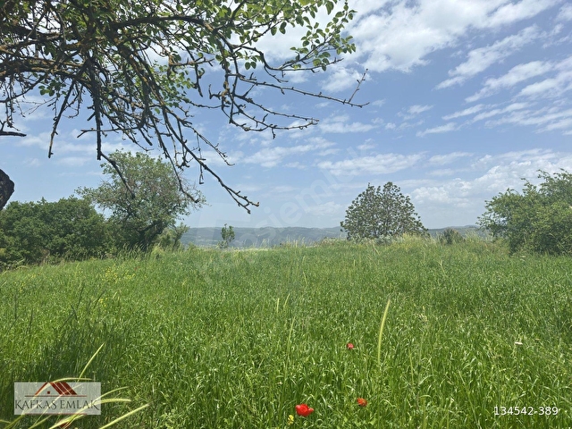 kösehoroz 1900 m2 köy civarı tarla - Görsel 2