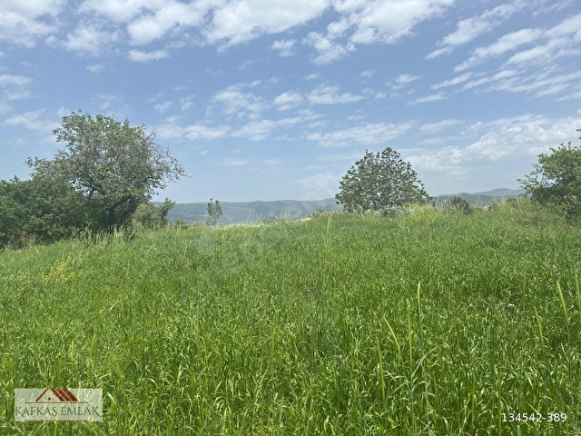 kösehoroz 1900 m2 köy civarı tarla - Görsel 10