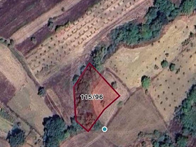 kösehoroz 1900 m2 köy civarı tarla - Görsel 15