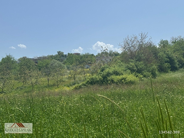 kösehoroz 1900 m2 köy civarı tarla - Görsel 5