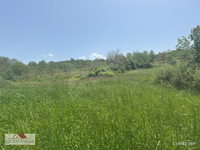 kösehoroz 1900 m2 köy civarı tarla - Görsel 3