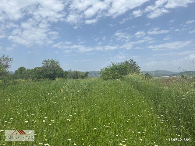 kösehoroz 1900 m2 köy civarı tarla