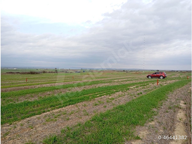 Yatırımlık 303 m² Tarla – Tekirdağ Saray Kurtdere - Görsel 5