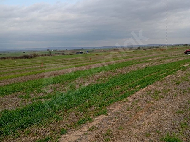 Yatırımlık 303 m² Tarla – Tekirdağ Saray Kurtdere - Görsel 3