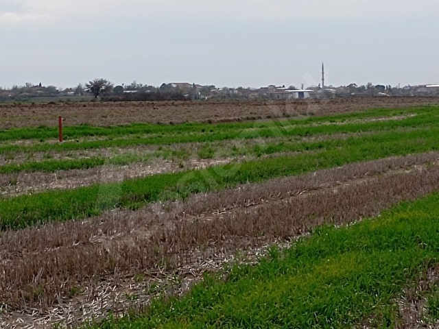 Yatırımlık 303 m² Tarla – Tekirdağ Saray Kurtdere - Görsel 9