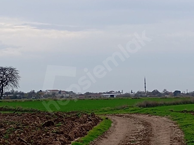 Yatırımlık 303 m² Tarla – Tekirdağ Saray Kurtdere - Görsel 11