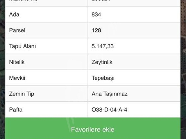 UYARAN 79 GAYRİMENKULDEN YAŞAR AKTÜRKTE SATILIK ZEYTİNLİK - Görsel 15
