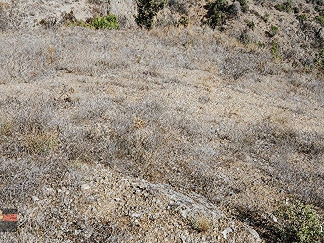 Bilecik Merkezde 1093 m2 Meyve Ağaçlı Yatırımlık Satılık Bağ - Görsel 8