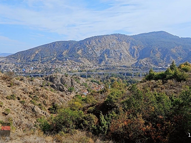 Bilecik Merkezde 1093 m2 Meyve Ağaçlı Yatırımlık Satılık Bağ
