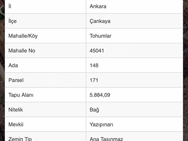 ÇANKAYA TOHUMLARDA HİSSELİ ARAZİ - Görsel 2