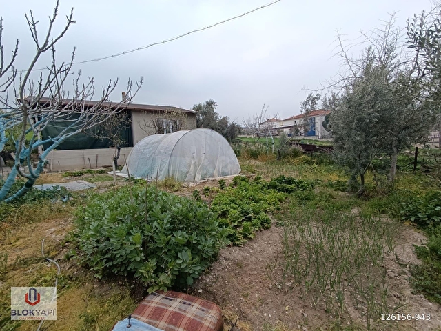 Denizli Akköyde 652 m2 Arsa İçinde Tek Katlı Müstakil Ev - Görsel 8