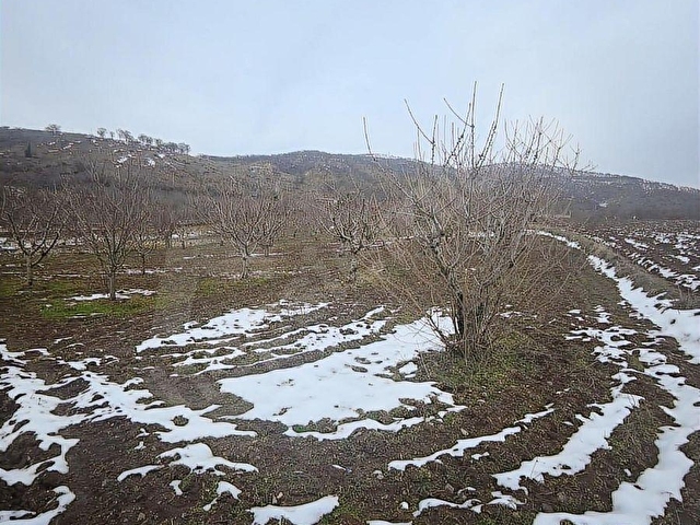 NETADANMERKEZ YELPE KÖYÜNDE SERAYA UYGUN SATILIK 4402M2 TARLA - Görsel 3