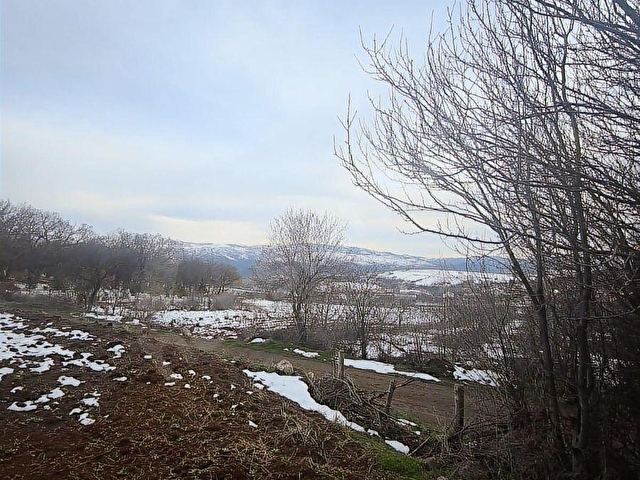 NETADANMERKEZ YELPE KÖYÜNDE SERAYA UYGUN SATILIK 4402M2 TARLA - Görsel 8