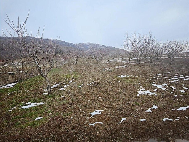 NETADANMERKEZ YELPE KÖYÜNDE SERAYA UYGUN SATILIK 4402M2 TARLA - Görsel 5