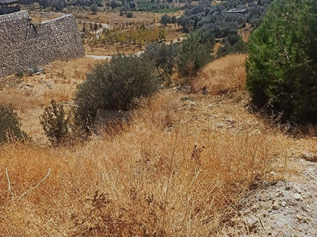 Kaynaklar Belenbaşında, yol üstü, gölete yakın, 3140 m2 arazi - Görsel 10
