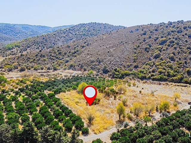 KÜÇÜKBAHÇE EĞRİLİMANDA TARLA - Görsel 12