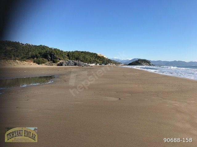 MUĞLA ORTACA SARİGERME GÜZELYURTTA SATILIK 27.550 M2 ZEYTİNLİK. - Görsel 4