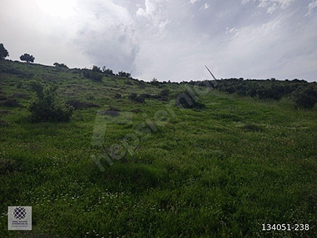 ORGANİZE SANAYİ BÖLGESİNDE 12686 MT SATİLİK TARLA UYGUN FİYATA - Görsel 9