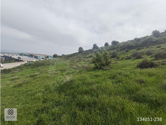 ORGANİZE SANAYİ BÖLGESİNDE 12686 MT SATİLİK TARLA UYGUN FİYATA - Görsel 18