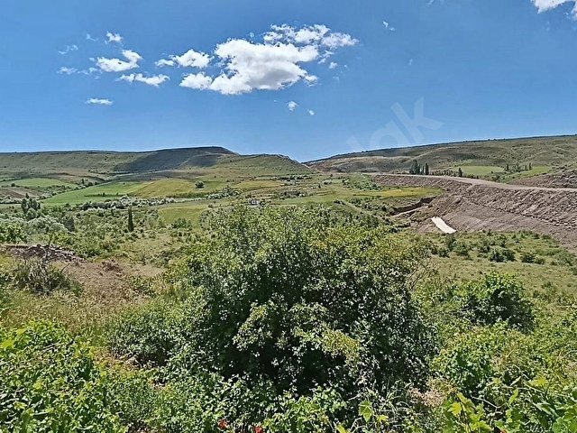 HASANCI 274 M2 KÜÇÜK BAĞ EVİ YAPILIR, KONTEYNER KOYULUR SAMSUN YOLU YAKINI TEK TAPU BAĞ YERİ - Görsel 8