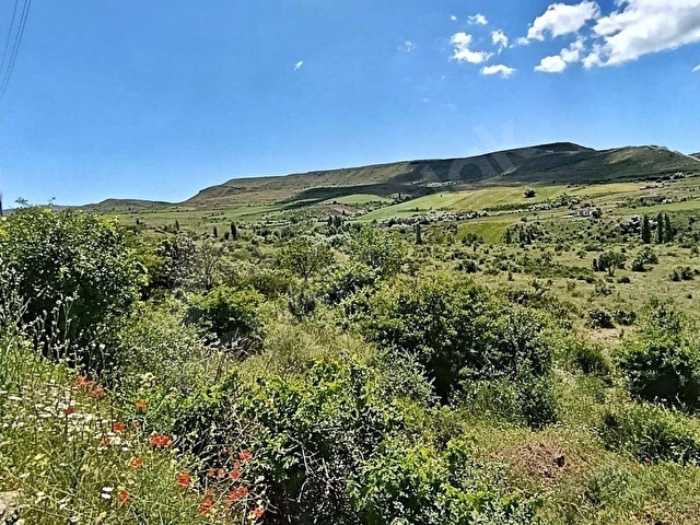HASANCI 274 M2 KÜÇÜK BAĞ EVİ YAPILIR, KONTEYNER KOYULUR SAMSUN YOLU YAKINI TEK TAPU BAĞ YERİ - Görsel 13