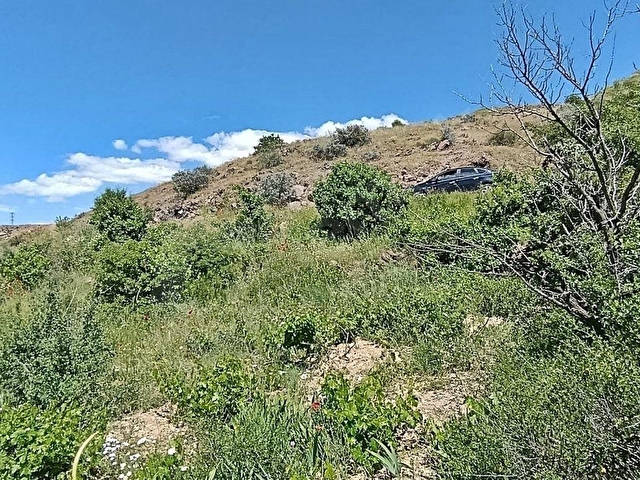 HASANCI 274 M2 KÜÇÜK BAĞ EVİ YAPILIR, KONTEYNER KOYULUR SAMSUN YOLU YAKINI TEK TAPU BAĞ YERİ - Görsel 27