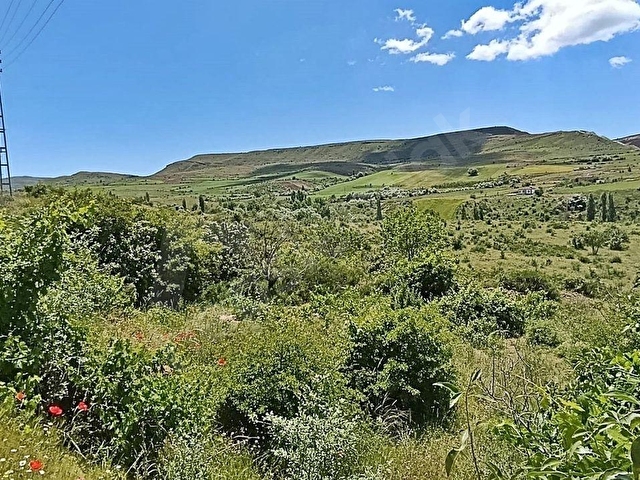 HASANCI 274 M2 KÜÇÜK BAĞ EVİ YAPILIR, KONTEYNER KOYULUR SAMSUN YOLU YAKINI TEK TAPU BAĞ YERİ - Görsel 11