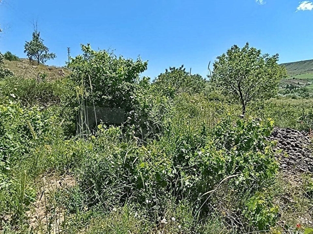 HASANCI 274 M2 KÜÇÜK BAĞ EVİ YAPILIR, KONTEYNER KOYULUR SAMSUN YOLU YAKINI TEK TAPU BAĞ YERİ - Görsel 24