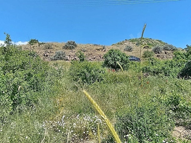 HASANCI 274 M2 KÜÇÜK BAĞ EVİ YAPILIR, KONTEYNER KOYULUR SAMSUN YOLU YAKINI TEK TAPU BAĞ YERİ - Görsel 26