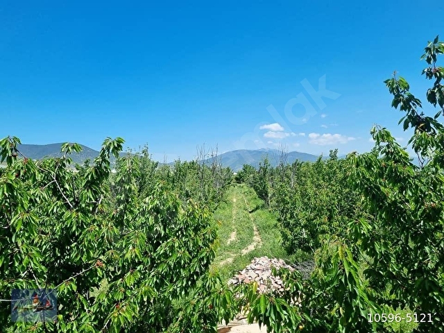 ANTALYA YEŞİLYAYLA DA SATILIK BAHCE İÇİNDE EVİ VAR YOL SU VAR ELKTRİK ALINIR YERLEŞİM YERİ İÇİNDEDİR - Görsel 8