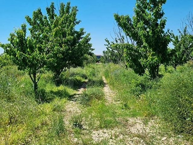 ANTALYA YEŞİLYAYLA DA SATILIK BAHCE İÇİNDE EVİ VAR YOL SU VAR ELKTRİK ALINIR YERLEŞİM YERİ İÇİNDEDİR - Görsel 12
