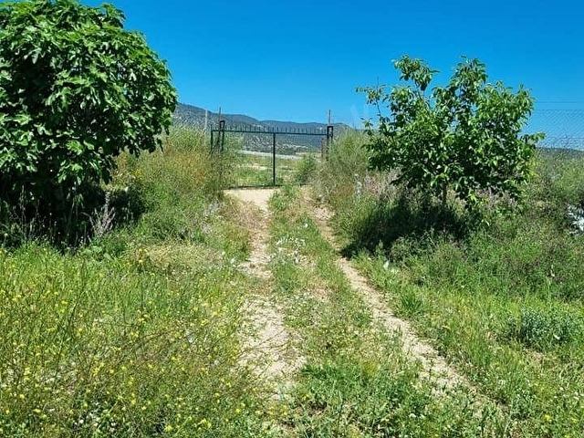 ANTALYA YEŞİLYAYLA DA SATILIK BAHCE İÇİNDE EVİ VAR YOL SU VAR ELKTRİK ALINIR YERLEŞİM YERİ İÇİNDEDİR - Görsel 4