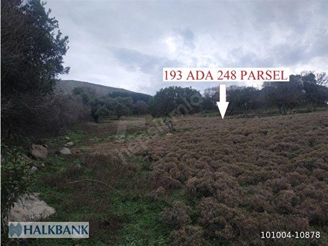 Çanakkale Gökçeada Satılık Arsa - Görsel 9